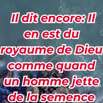 « La croissance secrète du Royaume de Dieu » marc 4:26,27.#shortvideo #shorts #youtube #ytshorts #yt