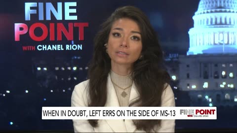 Fine Point - When In Doubt, Left Errs On The Side Of MS-13 - 4/1/2025