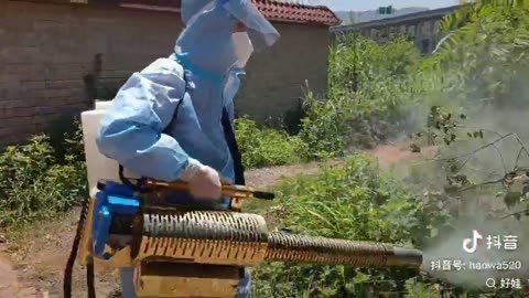 Chinese health officials spraying chemicals to kill mosquitoes walking straight into apartments