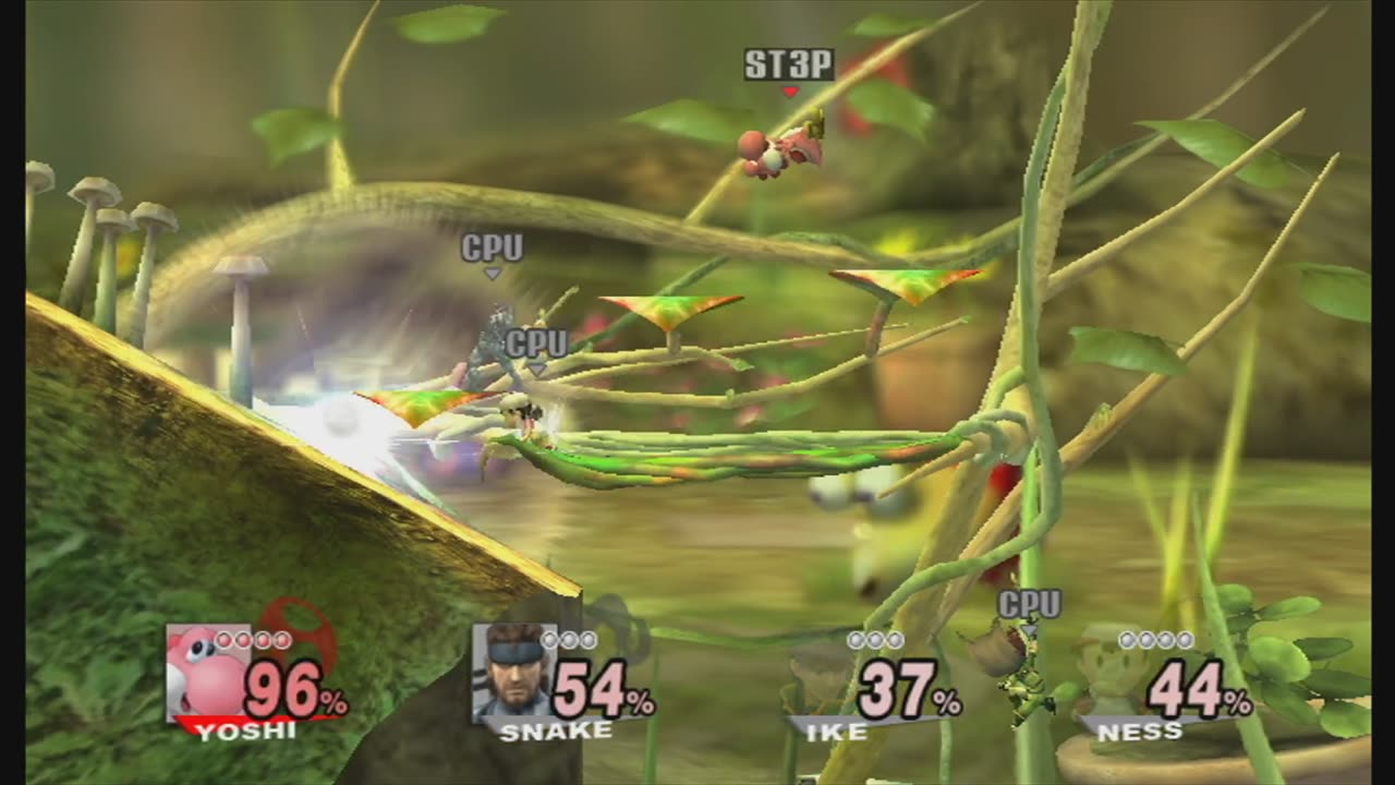 Super Smash Bros Brawl Battle364