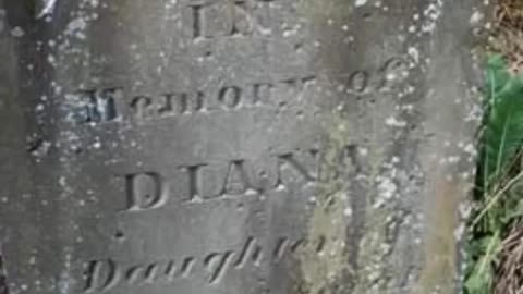 FAMOUS GRAVES - VOL. 539: DIANA WHITNEY