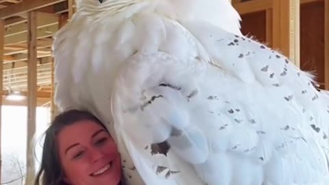 funny animals