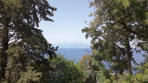 Excado Yolo Soft Sleep Beats