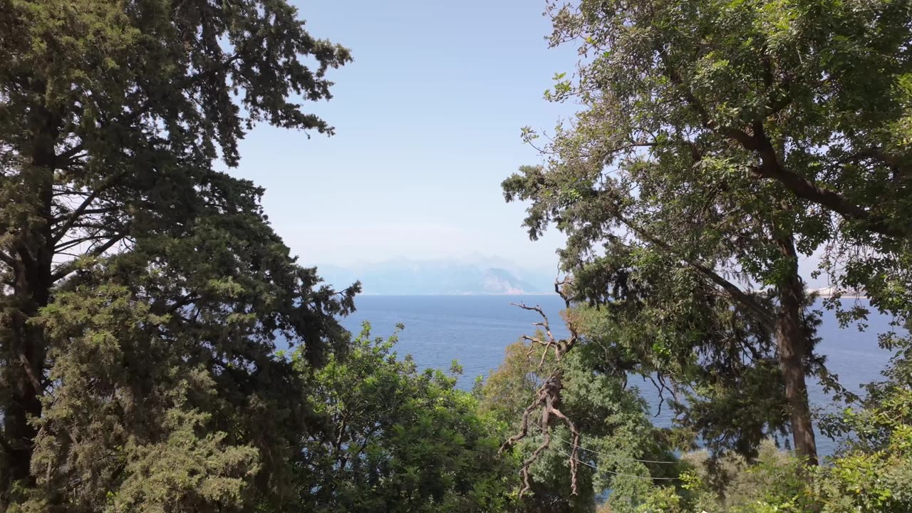 Excado Yolo Soft Sleep Beats