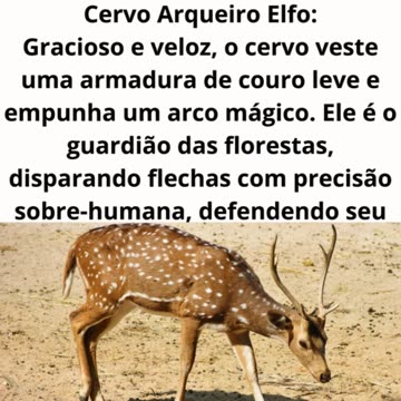 Leão Guerreiro Medieval.mp4