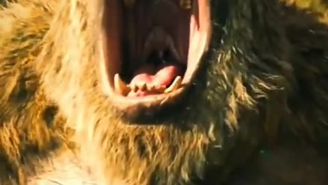 Angry King Kong throws sharp objects