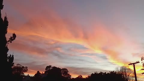 GOLDEN FUCSHIA SUNRISE 🌅🌄🌅🌄