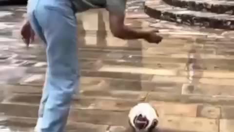Life Fail