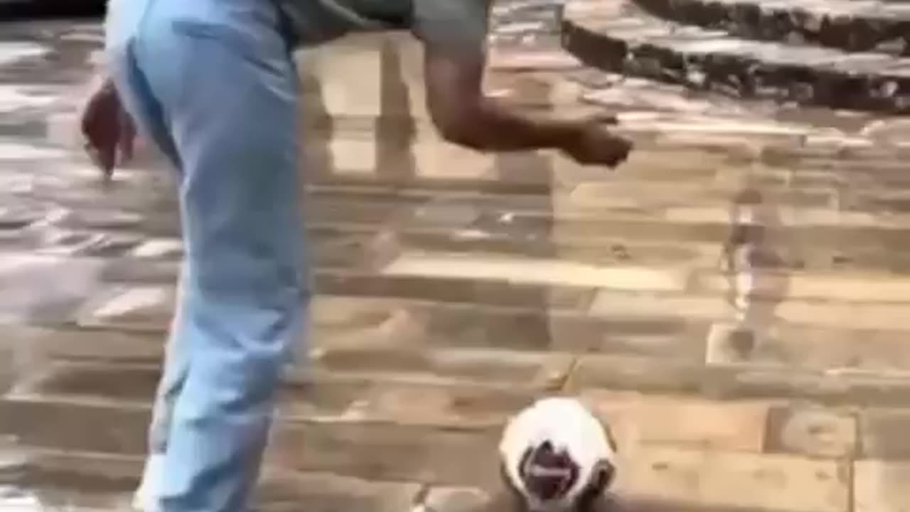 Life Fail