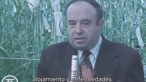 Criadores De Saratov