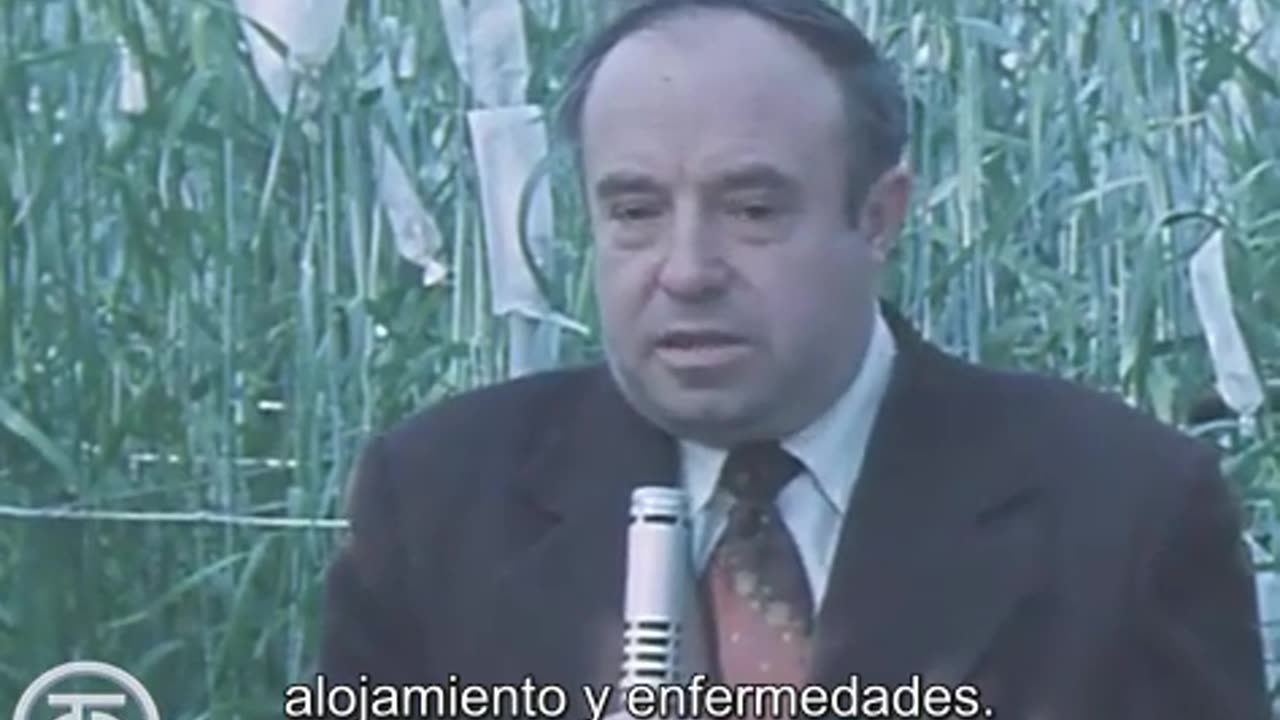 Criadores De Saratov