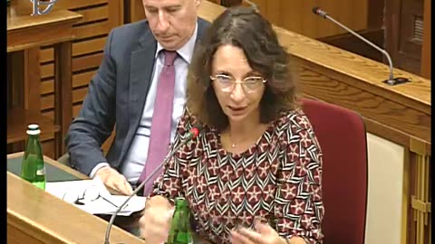 53 Commissione COVID Audizioni Abrignani Bassetti e Coccoluto 17-11-2025