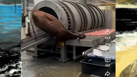 Just shorts videos 😜 #shorts #viralvideos #trending #funnyshorts #shortsfeed #memes #funny #anime