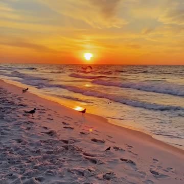 Rise with the sun, ride the waves, and soak up every good vibe