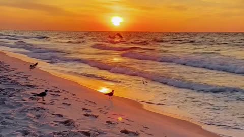 Rise with the sun, ride the waves, and soak up every good vibe
