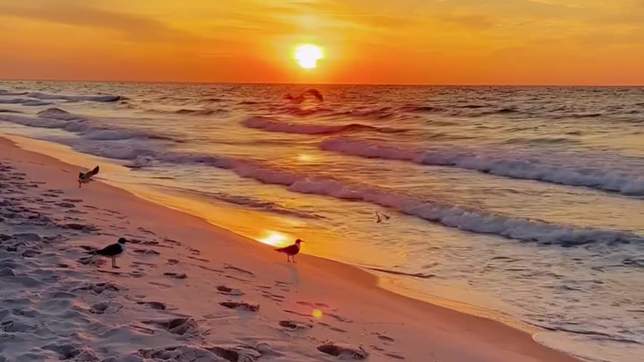 Rise with the sun, ride the waves, and soak up every good vibe