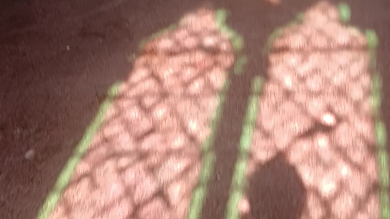 They say Jesus came back to life at easter