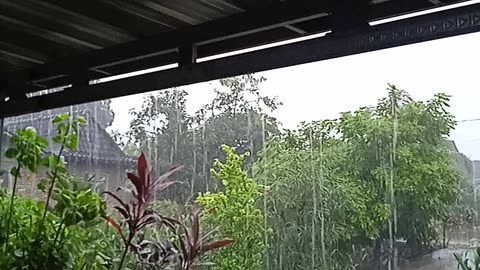 "The Sound of Rain"
