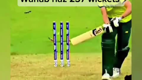 Cricket fans