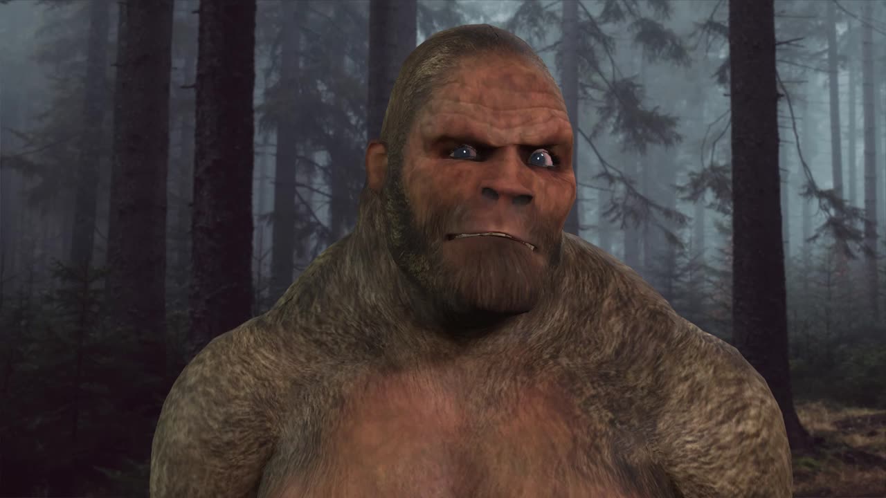 Sasquatch Sighting