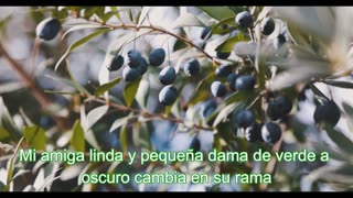 🌳 Poema al Olivo |Isabel Gómez Martínez & Teacher Paco | Música e Imágenes IA 🍃