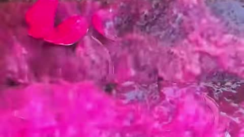 Satisfy video with breaking bottle