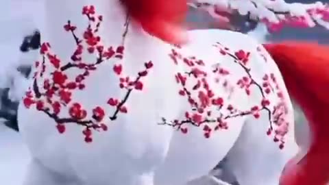 القران الكريم