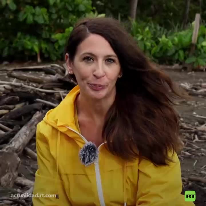 Ostional: refugio donde las tortugas luchan por sobrevivir