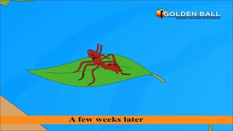 Dove And Ant Story In English I Moral Stories I Bedtime Stories For Kids I Panchatantra Stories