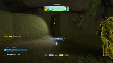 Halo on my lunch break