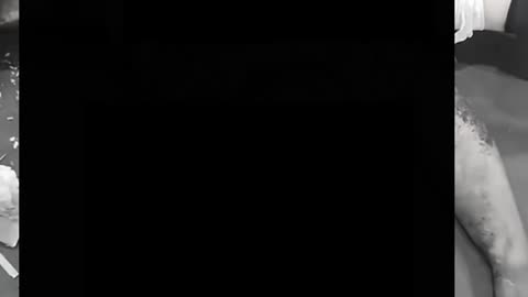 Most Recent Youtube - They claimed I was mocking the dead.