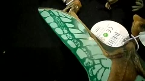 Some littel flying dinos