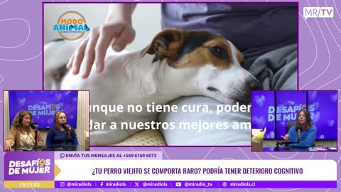 DESAFÍOS DE MUJER 13/05/2025