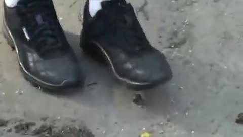 Trampling Snails