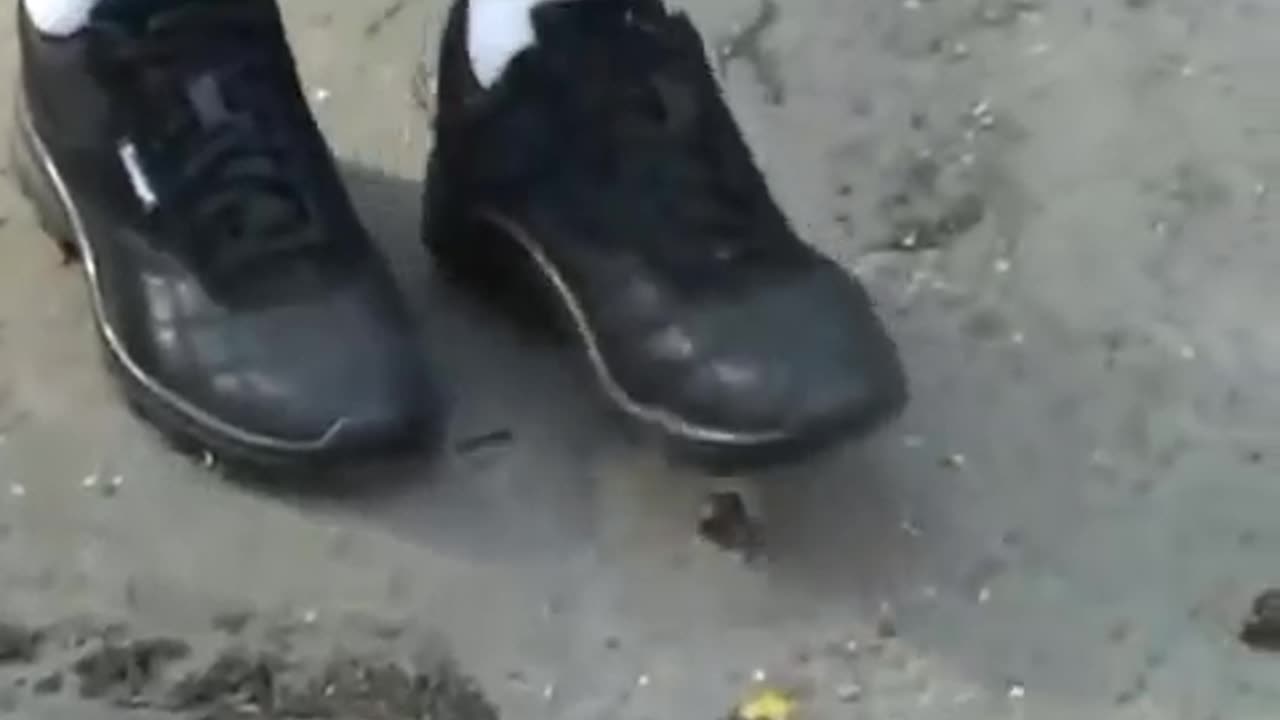 Trampling Snails