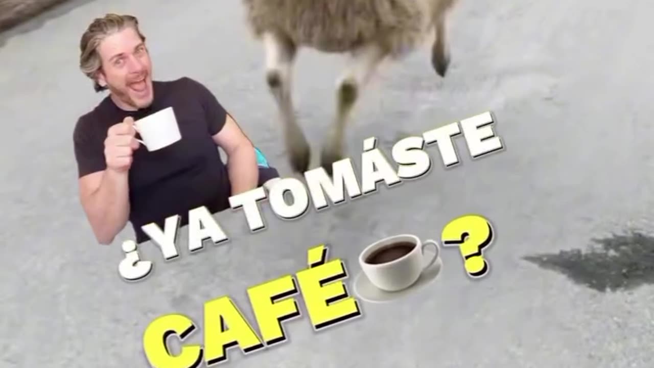 Já tomaste café?