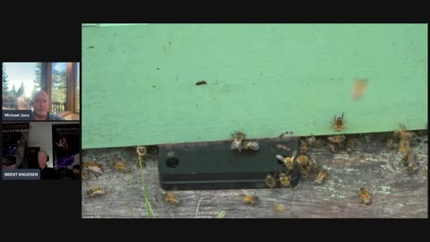 🐝 You’re NOT Gonna Believe What 4RBEES Is Doing… Sacred Geometry Tech Is Actually Saving the Bees!