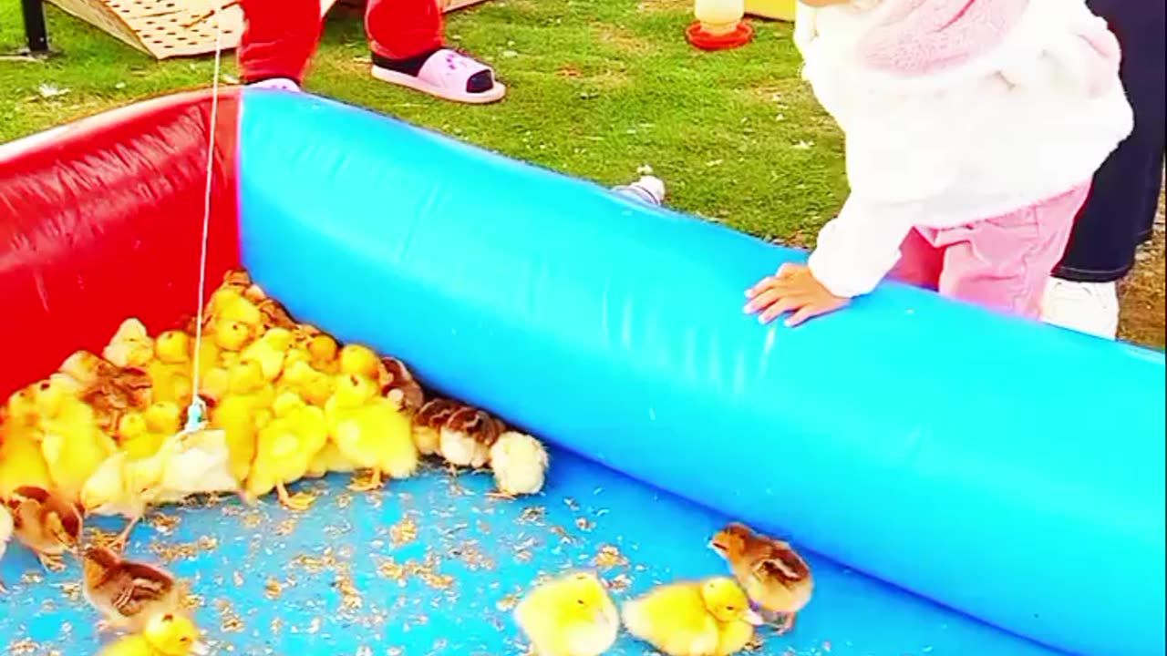 Chhuna tat nai nai #funny & cute animals