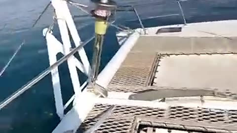 Breaking: Can’t believe she done that #reels #shorts #love #beautiful #sailing #