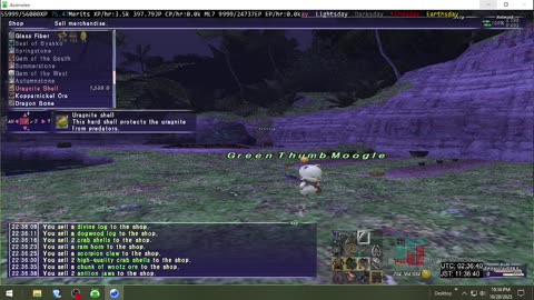 Playing Final Fantasy XI Online