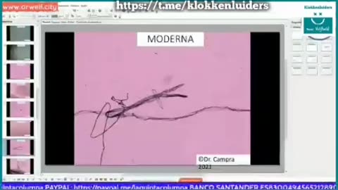 Dr Campra investigated what is in Pfizer