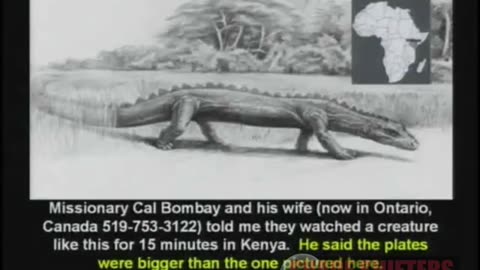 Dinosaurs Alive in Congo