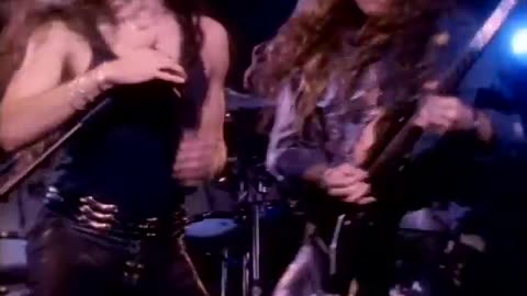 leatherwolf hideaway