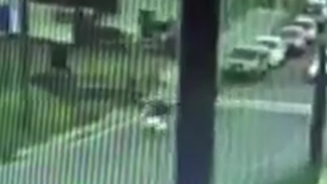 Una decena de muertos tras choque entre autobús y tren