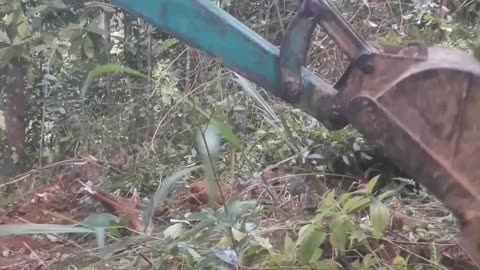 The Grind (Speed Run): Excavator Operator's Steep Mountain Cleanup! (USA)