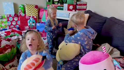 The Moment Her Christmas Wish Came True