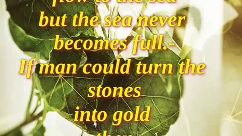 a Thousand Rivers