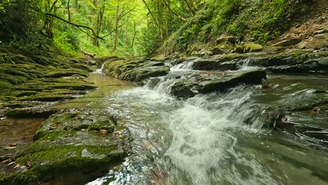 "You must do the thing you think you cannot do."