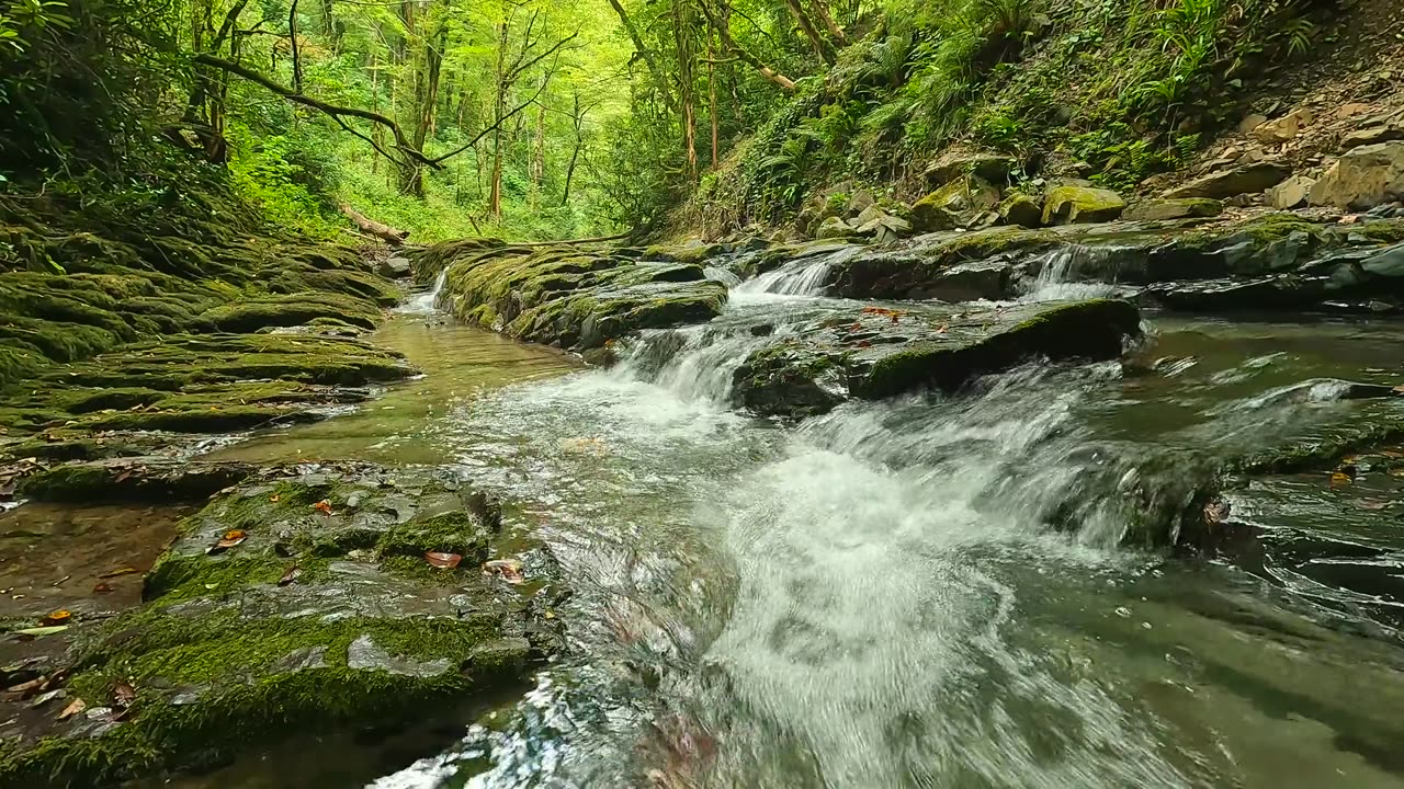 "You must do the thing you think you cannot do."