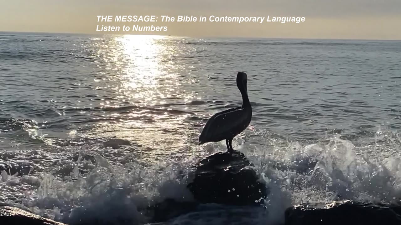 KJv & msg bible comparison Isiah 45-46